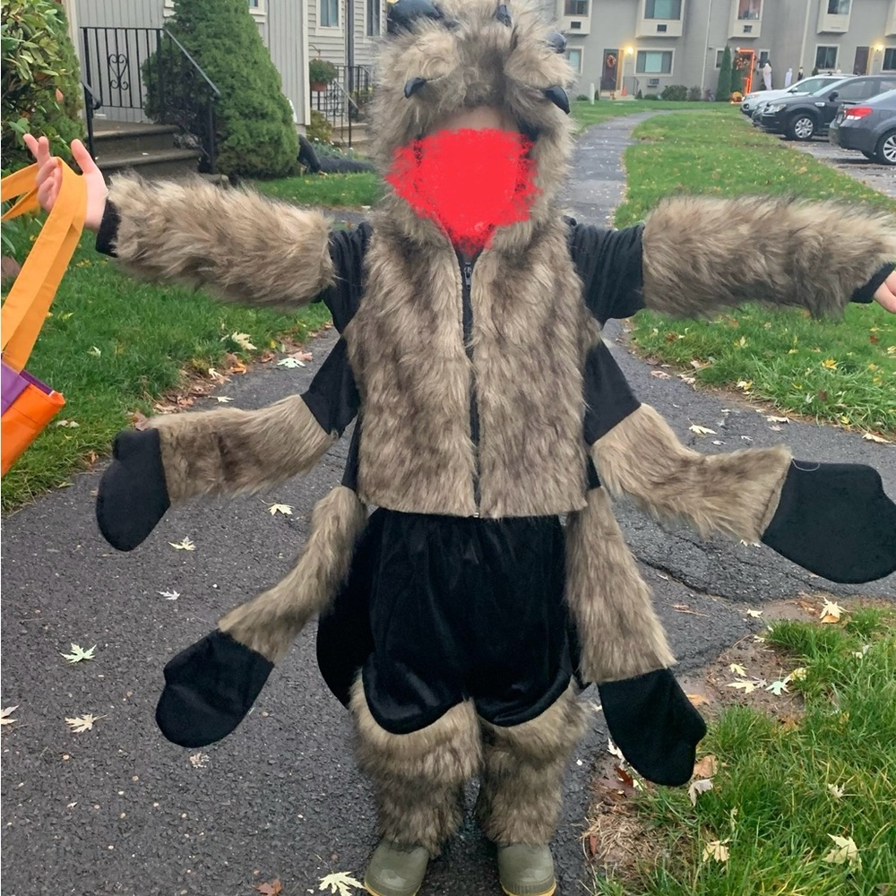 Furry Spider Costume with Extra Arms